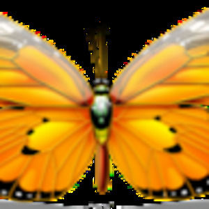 Meet your Posher, Janessa